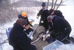 Photo of researchers examining a deer in the field