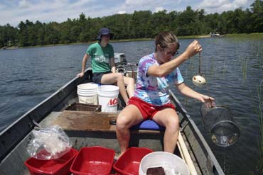 Photo of student researcher checking crayfish traps