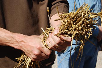 Hand-testing the straw