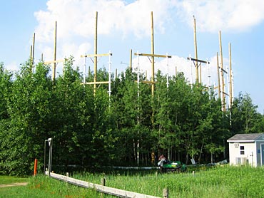 Photo of forest study area.