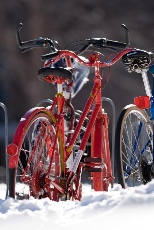 http://www.news.wisc.edu/story_images/0000/0337/red_bike_snow07_5061.jpg