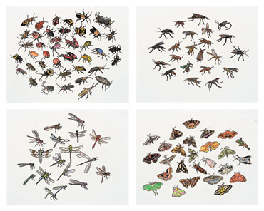 Nancy Mladenoff&rsquo;s &ldquo;Insects&rdquo;