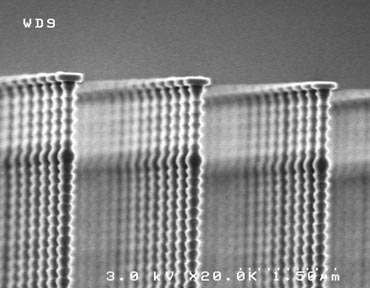 Photo of &rsquo;nanonails&rsquo;