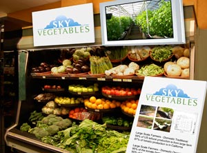 An artist&rsquo;s rendition of vegetable stand