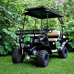 Photo of solar-powered buggy