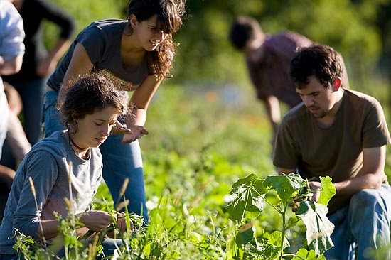 Photo of student gradeners