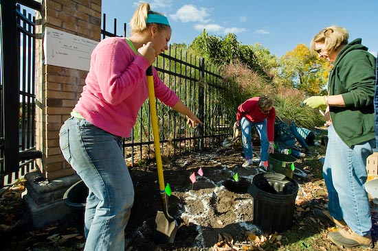 Photo of bulb planting at Allen Centennial Gardens