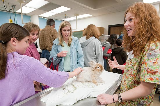 Rabbit at open house