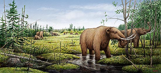 After mastodons and mammoths, a transformed landscape