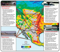 Thumbnail of infographic