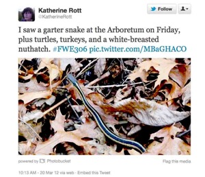 Photo: Wildlife tweet