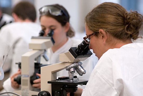 Photo: students in science lab