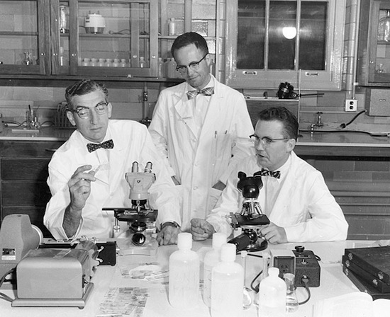 Photo: Harry Waisman lab