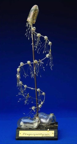 Photo: exhibit in Academic Staff Art Gallery