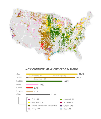 Map: Biofuel crop production types