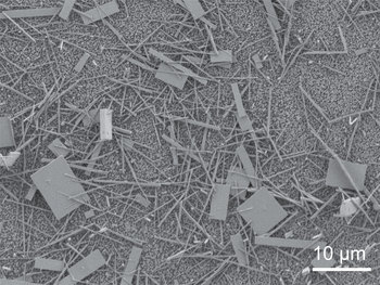 Photo: Unsorted nanowire crystals immediately after production