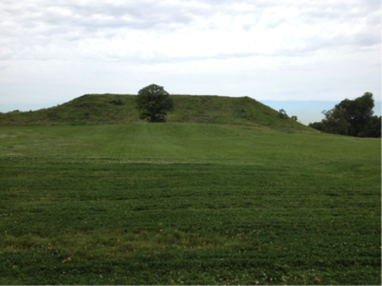 Photo: Monk’s Mound