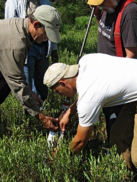 Photo of scientists taking a soil core sample.