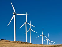 Photo: Wind turbines in a field