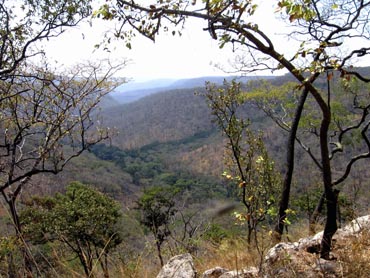 Photo of Ugalla Forest Reserve