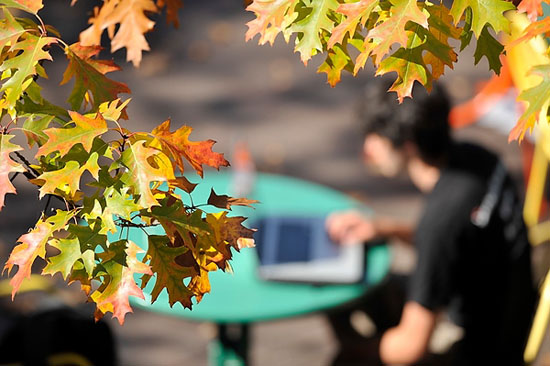 Photo of autumn-colored leaves in the foreground with a student sitting at a Memorial Union Terrace table in the background. 