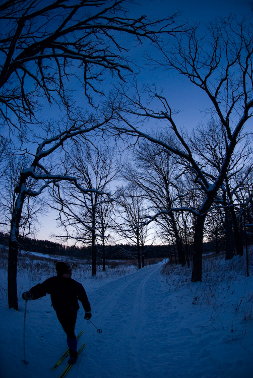 Cross-country skiing in the Arboretum