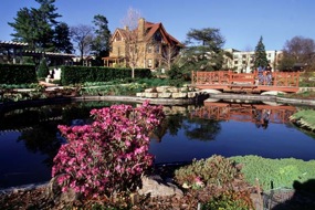 Photo: Allen Centennial Gardens