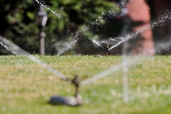 Photo: Sprinklers at work