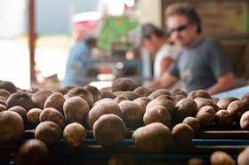 Photo: Potatoes