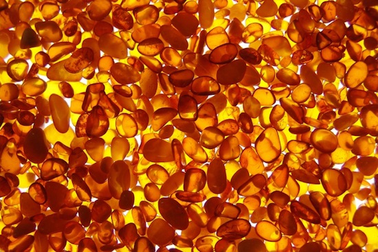 Photo: Pieces of amber