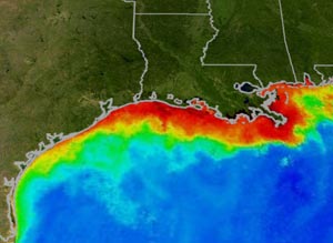 NOAA image showing Gulf of Mexico dead zone