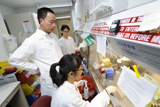 Photo: Su-Chun Zhang and researchers in lab
