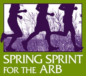 Image: Spring Sprint logo