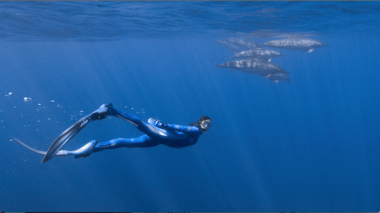Photo: Céline Cousteau diving with dolphins