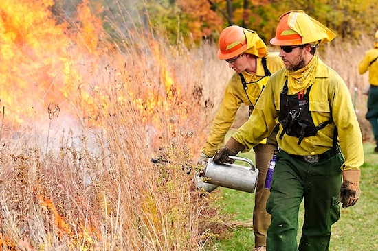 Photo: workers conducting prescribed burn of Biocore Prairie