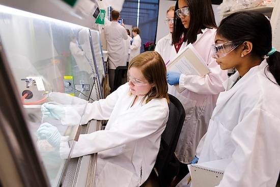 Photo: middle school students participating in stem cell experiment