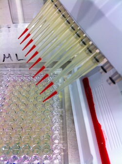Photo: assays being used in lab