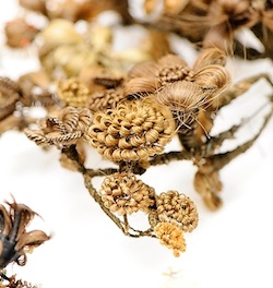 Photo: closeup of hair wreaths