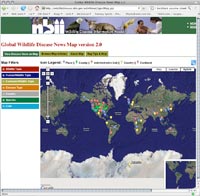 Screen capture from Global Wildlife Disease News Map