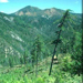 Photo: Siskiyou National Forest