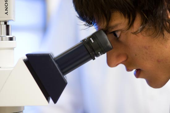 Photo of student looking in microscope