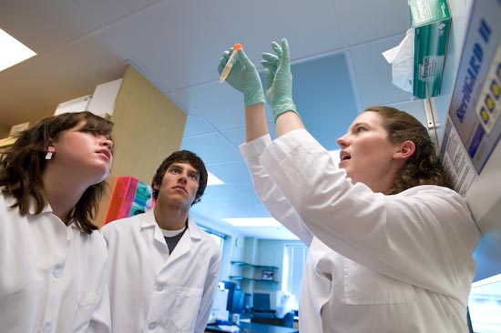 Photo of people looking at lab vial