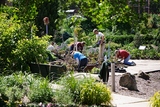 Photo: Allen Gardens