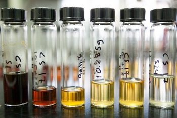 Photo: biomass fractions in vials