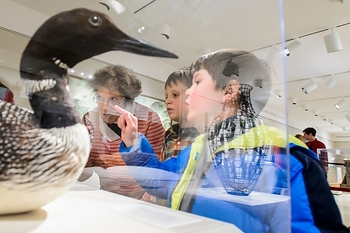 Photo: children looking at bird exhibit