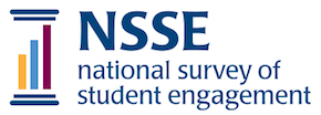 NSSE logo