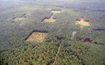 Photo: aerial photo of conservation corridors