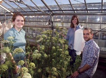 Photo: students in greenhouse