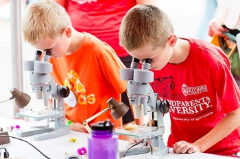 Photo: Boys looking into microscopes