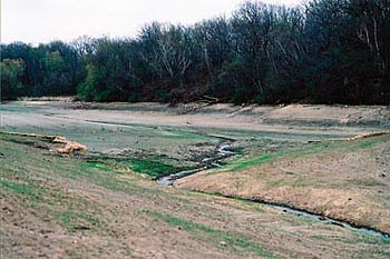 Photo of dam site three months after dam removal